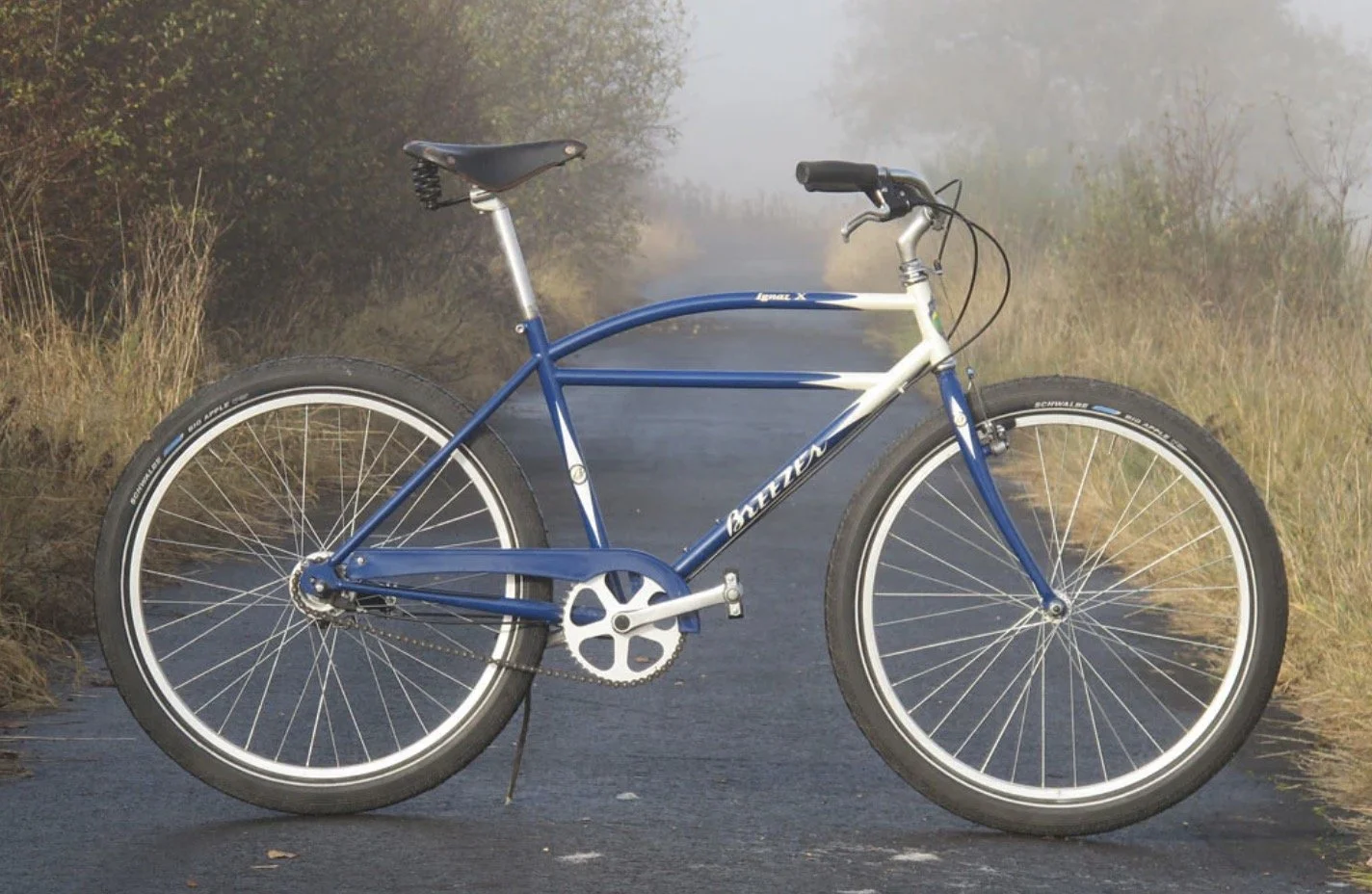 Breezer Bicycles comfy commuters perfect for Berkeley Blue Heron Bike Shop